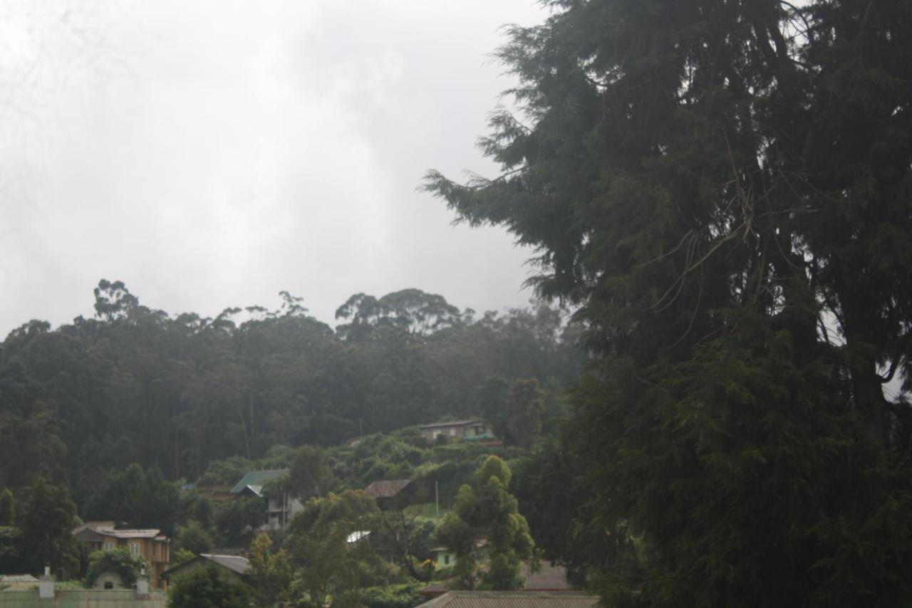 Dream Hill Homestay Nuwara Eliya Zewnętrze zdjęcie