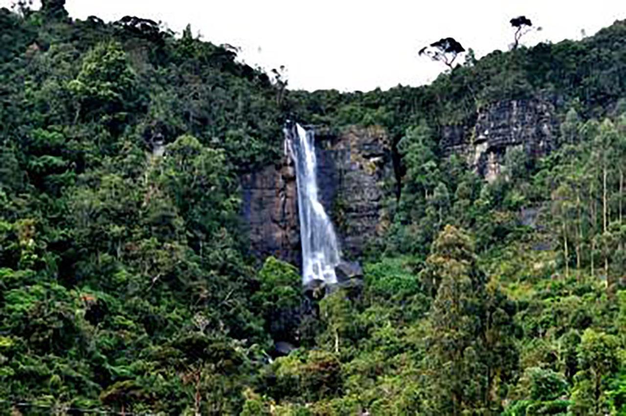Dream Hill Homestay Nuwara Eliya Zewnętrze zdjęcie
