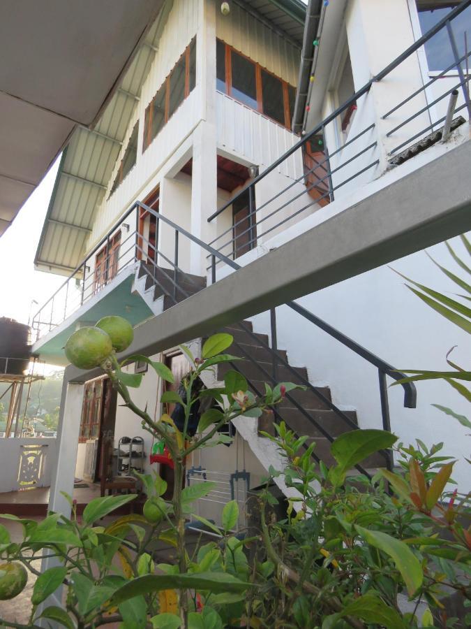 Dream Hill Homestay Nuwara Eliya Zewnętrze zdjęcie