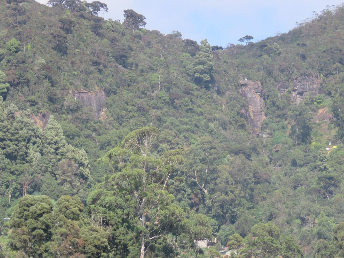 Dream Hill Homestay Nuwara Eliya Zewnętrze zdjęcie