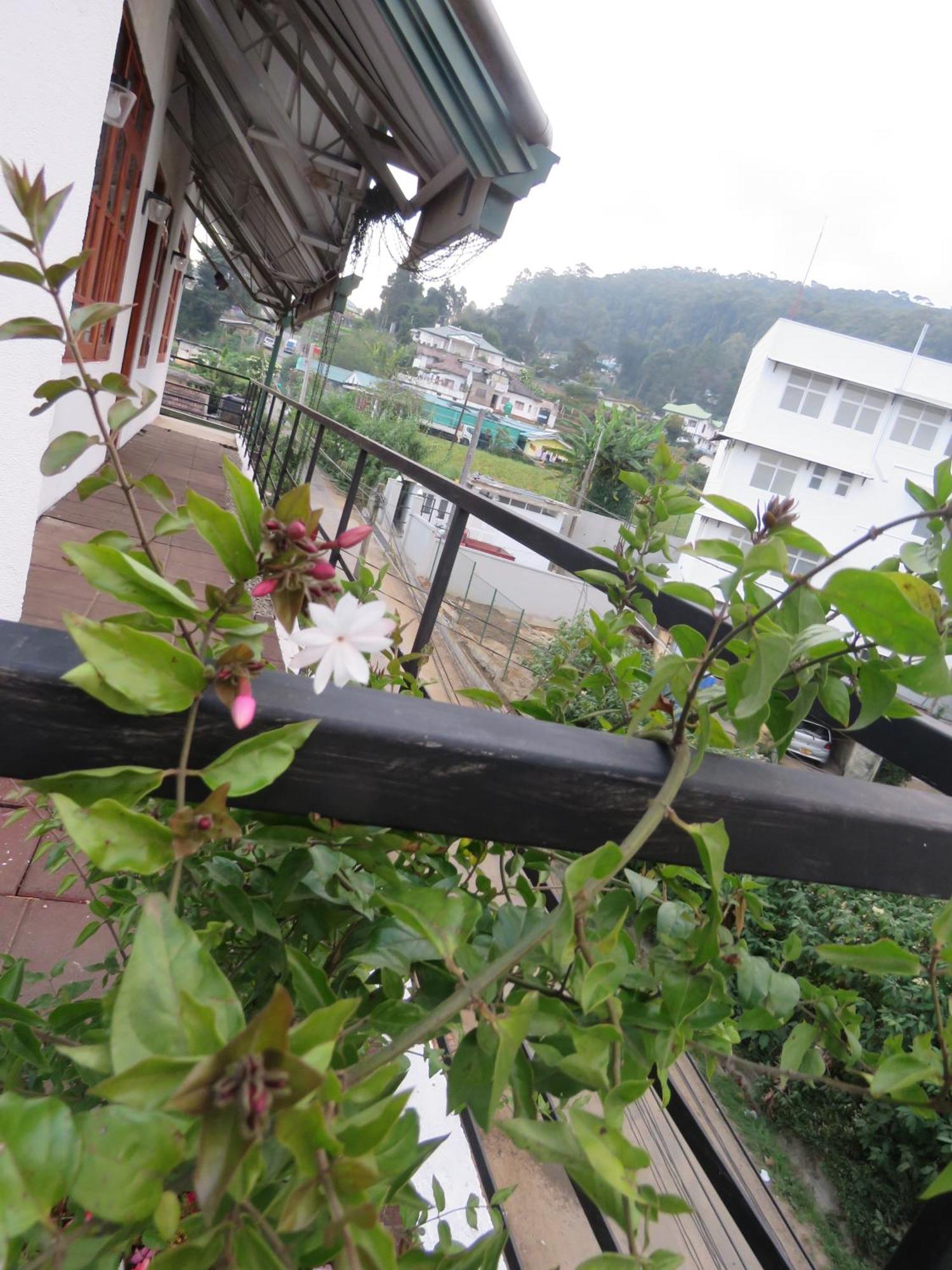 Dream Hill Homestay Nuwara Eliya Zewnętrze zdjęcie